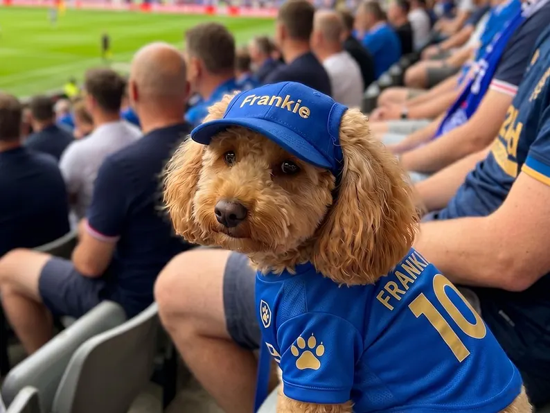 Pet Baseball Cap with Ear Holes